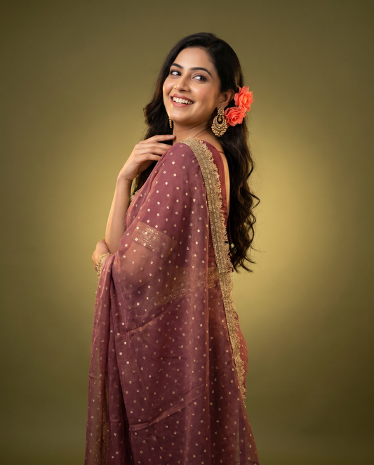 Women's Lightweight Organza Georgette Saree with Embroidered Zari Border & Unstitched Blouse Piece.